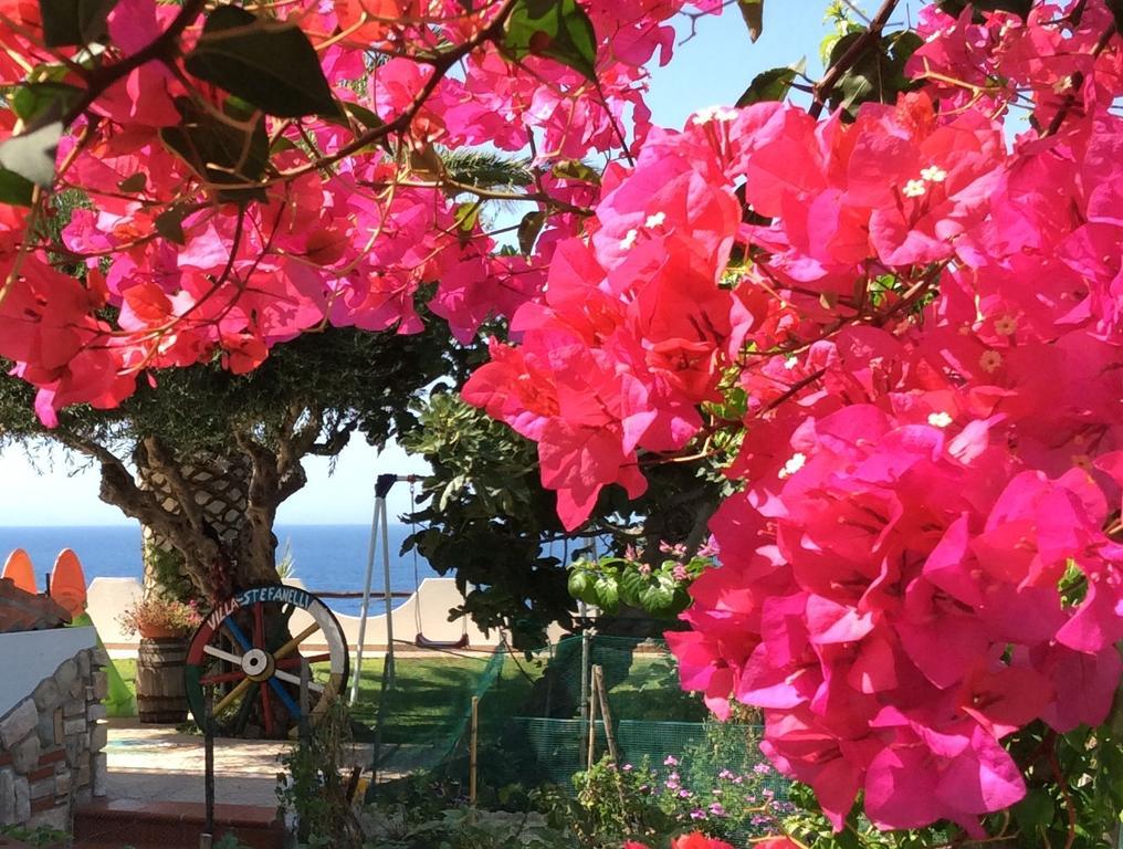 Appartement Residenza Stefanelli à Capo Vaticano Extérieur photo