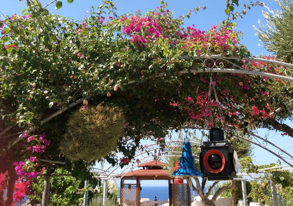Appartement Residenza Stefanelli à Capo Vaticano Extérieur photo